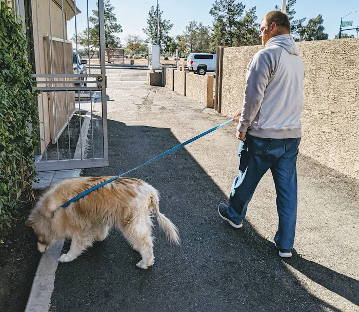 Sunburst Animal Hospital Picture 8