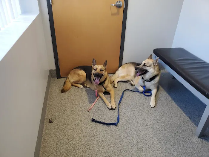Sunburst Animal Hospital Picture 5