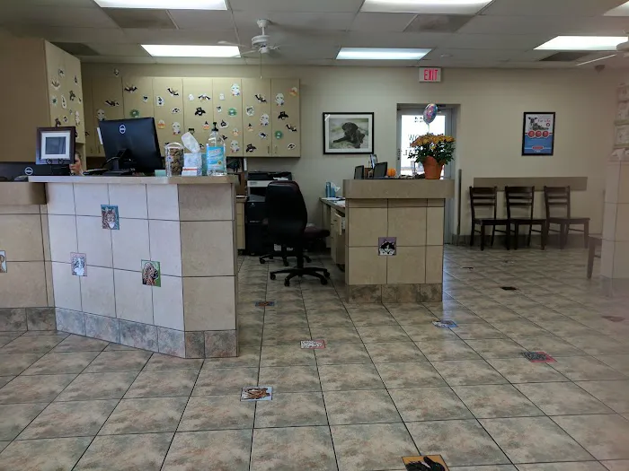 Lovet Pet Health Care - Arrow Picture 3