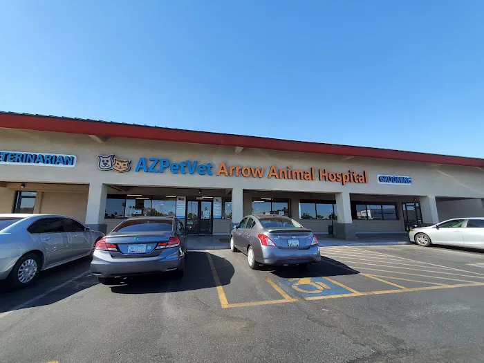 Arrow Animal Hospital PLC: Payton Willow DVM Picture 5