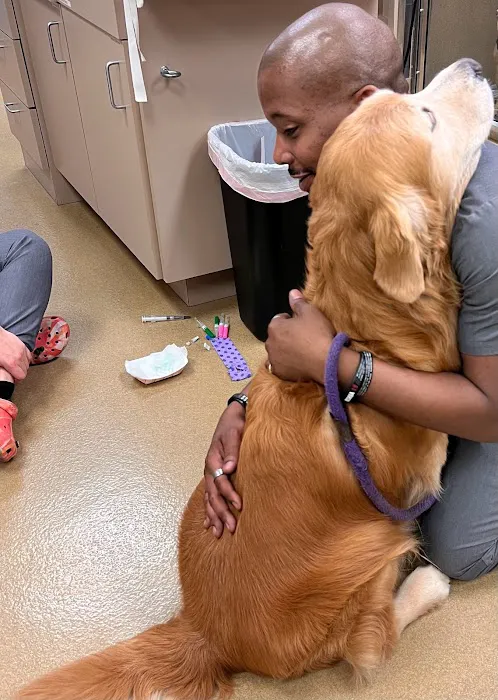 CARE Animal Surgery Center Picture 3