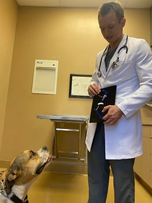 CARE Animal Surgery Center Picture 9