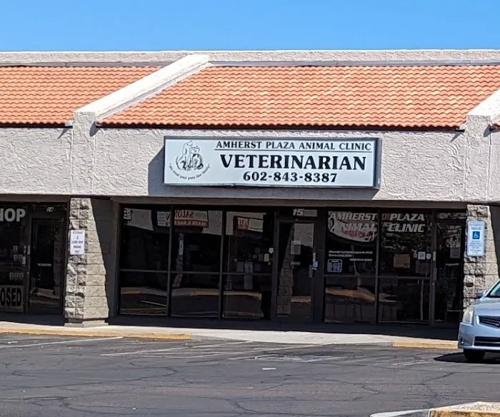 Amherst Animal Clinic Picture 5