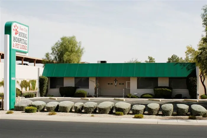 Sun City Animal Hospital Picture 4