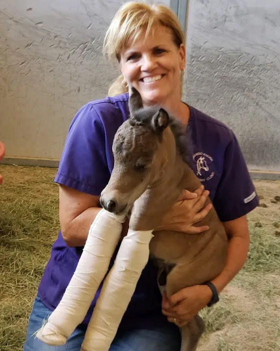 West Valley Equine Veterinary Services, LLC Picture 2