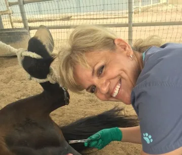 West Valley Equine Veterinary Services, LLC Picture 1