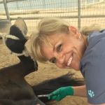 West Valley Equine Veterinary Services, LLC