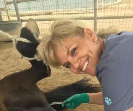 West Valley Equine Veterinary Services, LLC