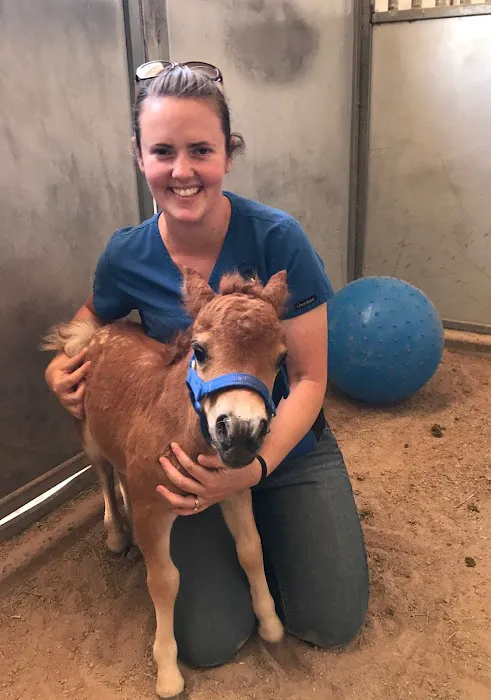 West Valley Equine Veterinary Services, LLC Picture 8