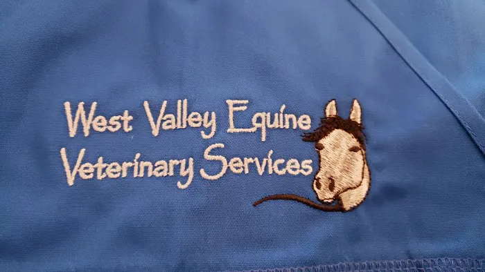 West Valley Equine Veterinary Services, LLC Picture 6