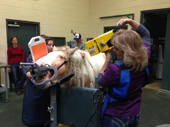 West Valley Equine Veterinary Services, LLC Picture 9