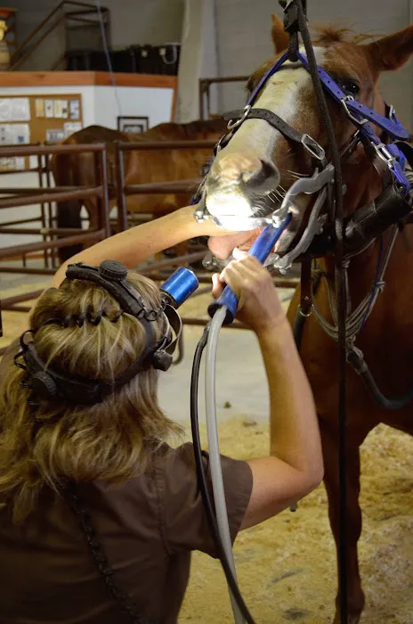 West Valley Equine Veterinary Services, LLC Picture 10