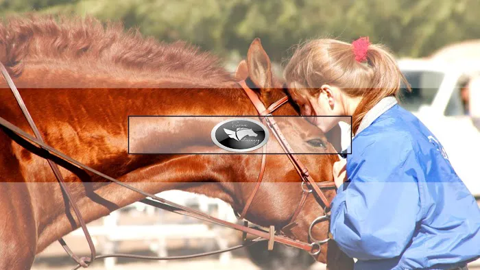 Sorum Veterinary Services Picture 1