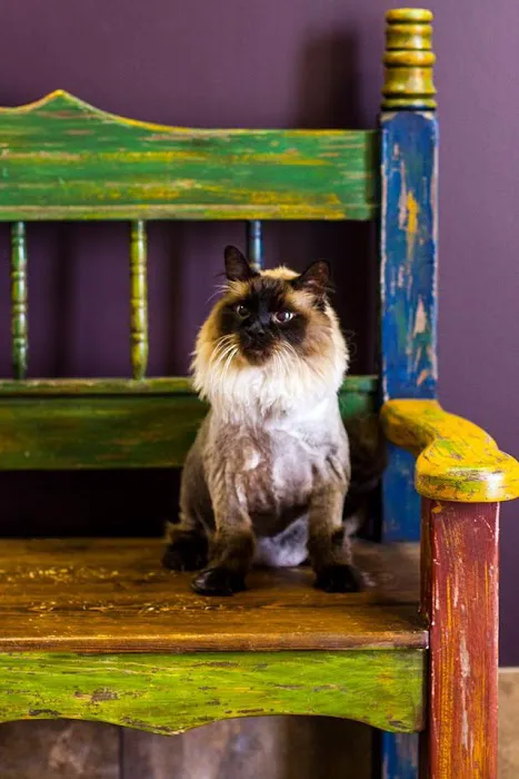 Dynamite Animal Hospital Picture 5