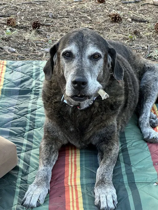 Union Hills Animal Hospital Picture 6