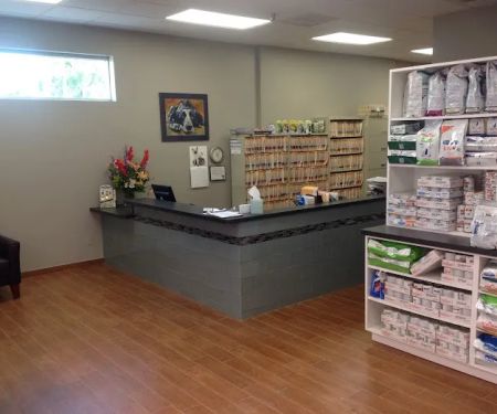 Union Hills Animal Hospital