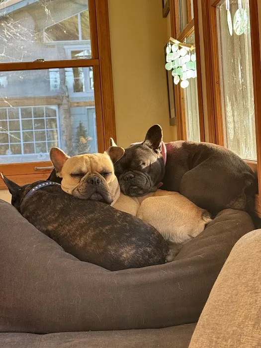 Union Hills Animal Hospital Picture 10