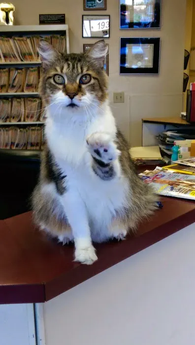 Union Hills Animal Hospital Picture 9