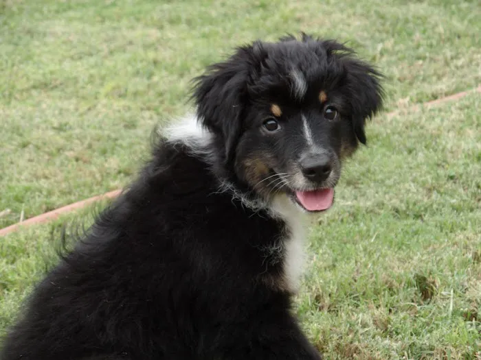 Union Hills Animal Hospital Picture 7