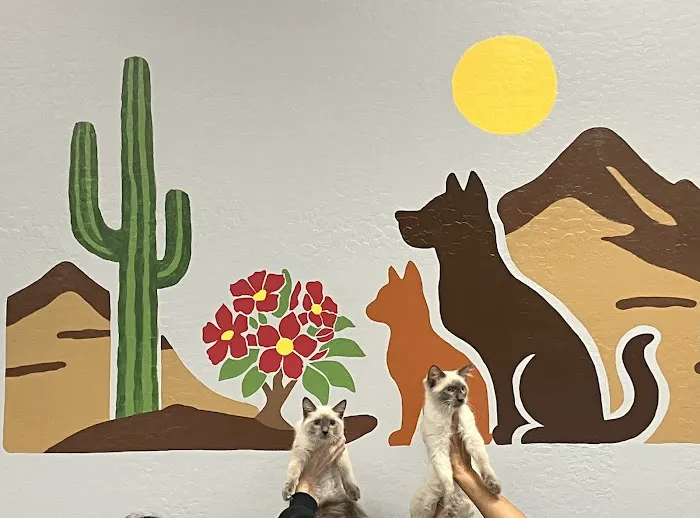 Desert Rose Animal Hospital Picture 3