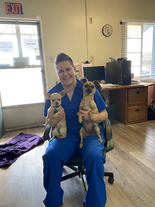 Desert Rose Animal Hospital Picture 8