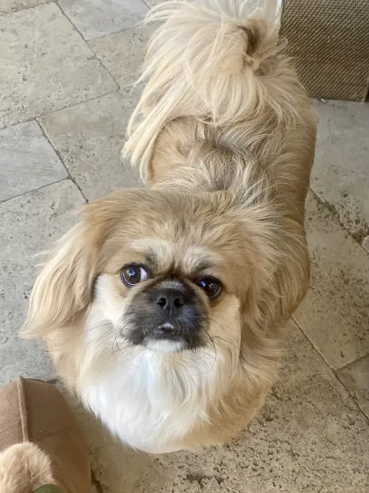 Banfield Pet Hospital Picture 2