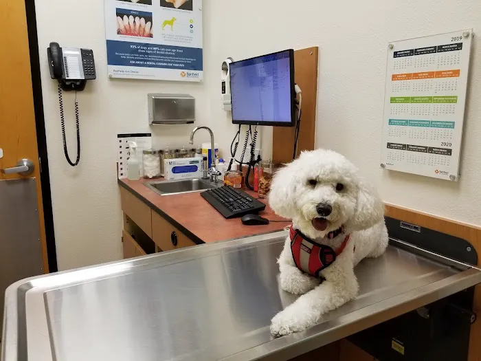 Banfield Pet Hospital Picture 5