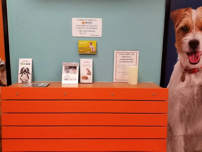 Banfield Pet Hospital Picture 6