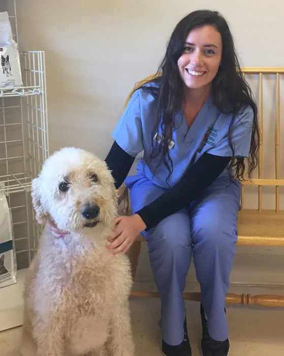 Court Street Animal Hospital Picture 4