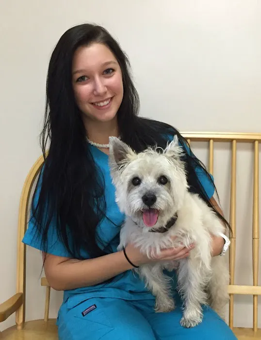 Court Street Animal Hospital Picture 2