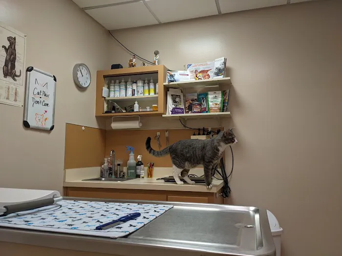 Court Street Animal Hospital Picture 1