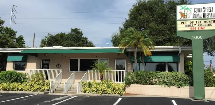 Court Street Animal Hospital Picture 8