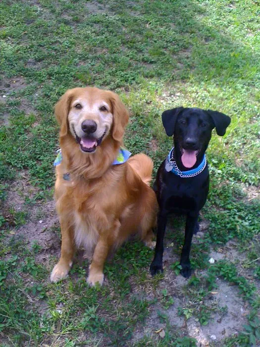 Court Street Animal Hospital Picture 9