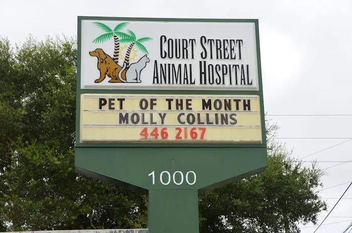 Court Street Animal Hospital Picture 10