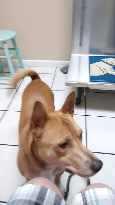 East Bay Animal Hospital Picture 2