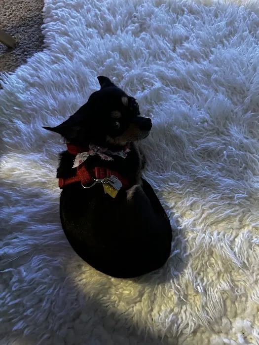 East Bay Animal Hospital Picture 1