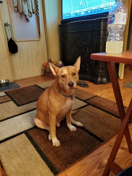 East Bay Animal Hospital Picture 3