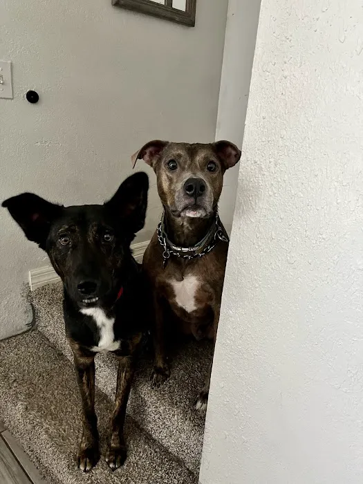 East Bay Animal Hospital Picture 6