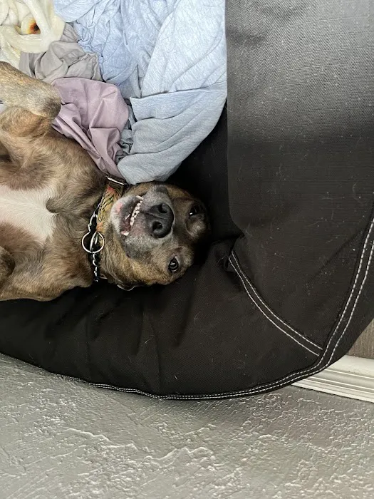 East Bay Animal Hospital Picture 7