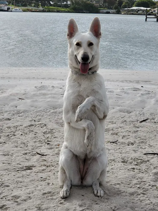 East Bay Animal Hospital Picture 8