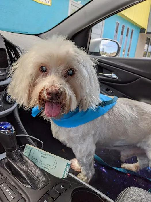 East Bay Animal Hospital Picture 5