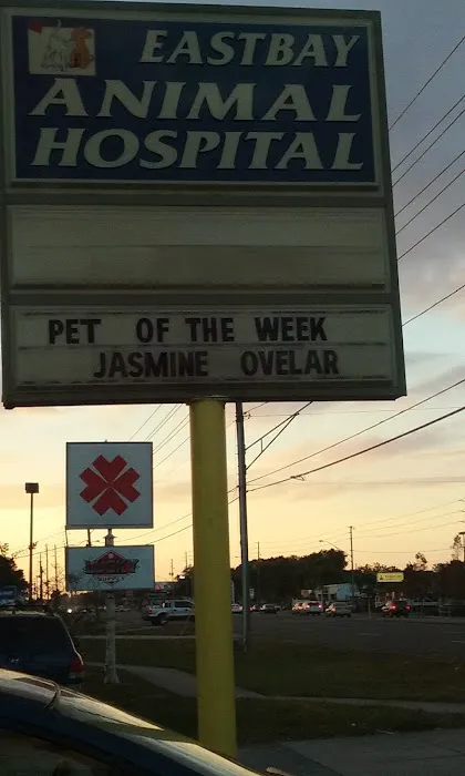 East Bay Animal Hospital Picture 10