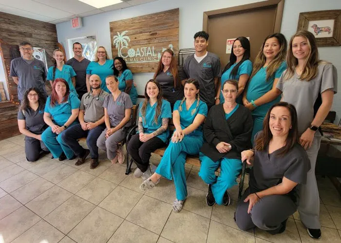 Coastal Animal Clinic Picture 6