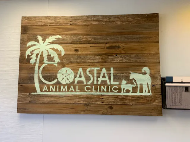Coastal Animal Clinic Picture 9