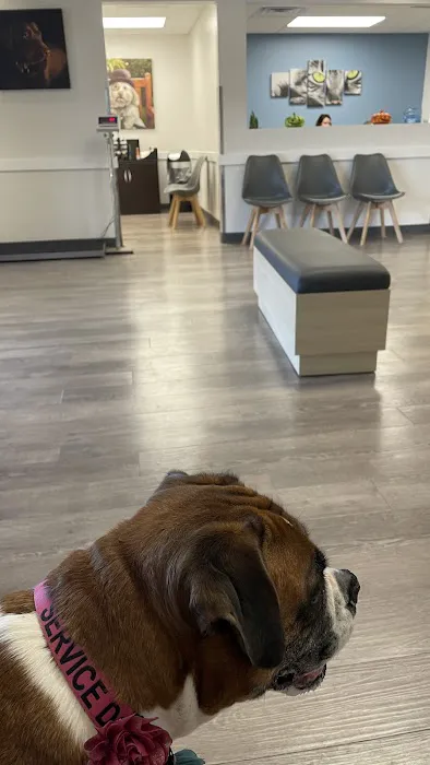 Tampa Bay Veterinary Specialists & Emergency Care Center Picture 5