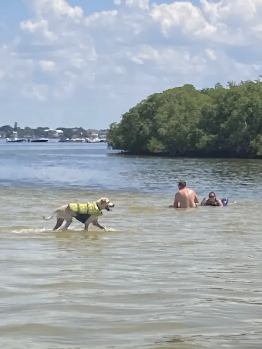Tampa Bay Veterinary Specialists & Emergency Care Center Picture 6