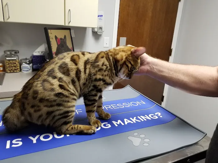 Largo Veterinary Hospital Picture 3