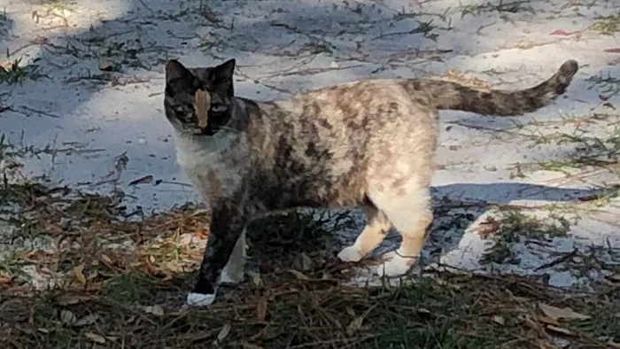 Largo Veterinary Hospital Picture 2