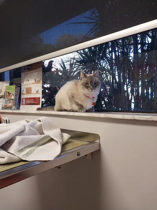 Largo Veterinary Hospital Picture 7