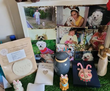 Pet Angel Memorial Center